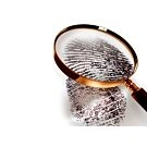 Bedrijfsfraude onderzoek